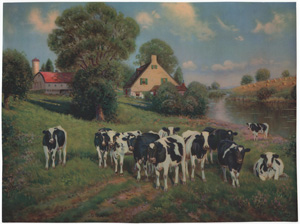 Vintage Calendar Art cows, cattle, livestock, farm life, etc.